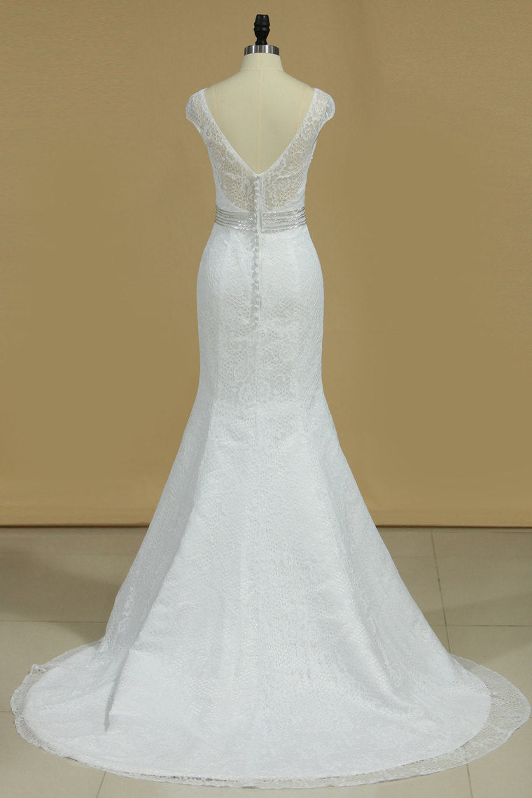 2024 Scoop Cap Sleeves Mermaid Wedding Dresses Beaded Waistband Lace