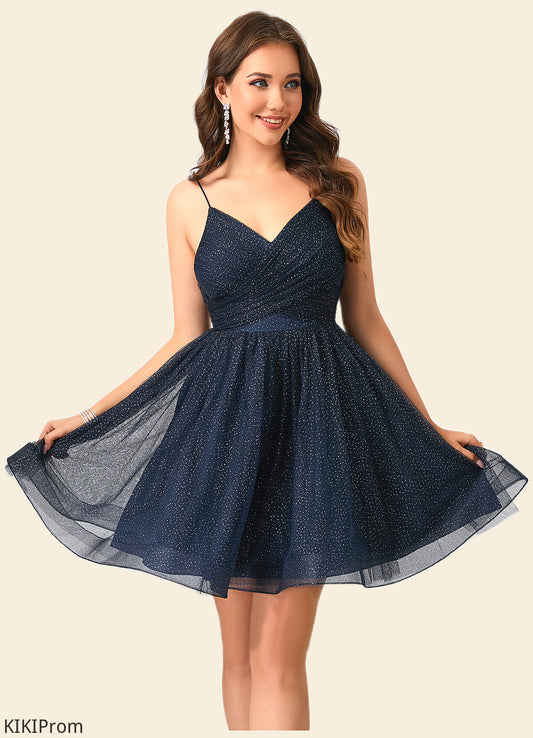 Layla Pleated V-Neck A-line Tulle Dresses DZP0022548
