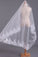 2022 Gorgeous Wedding Veils With Applique