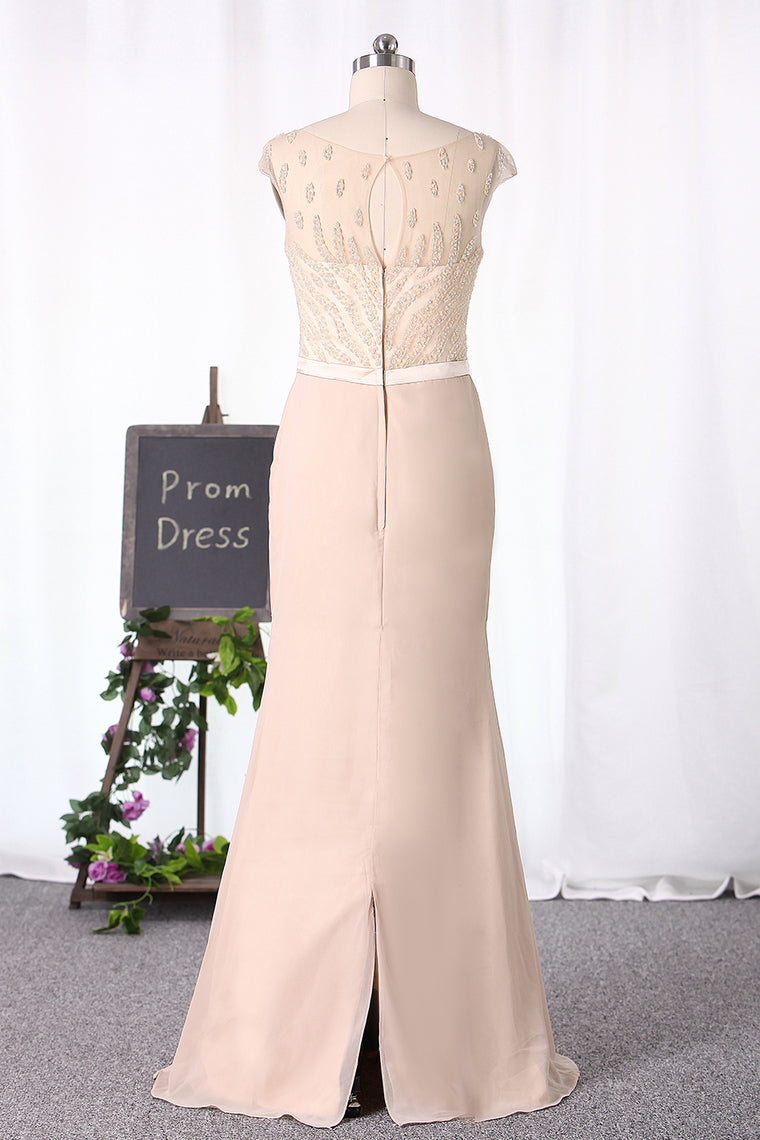2024 Sheath/Column Mother Of The Bride Dresses Chiffon With Beading