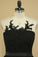 2022 Black Scoop A Line Evening Dresses Chiffon With Sash & Applique