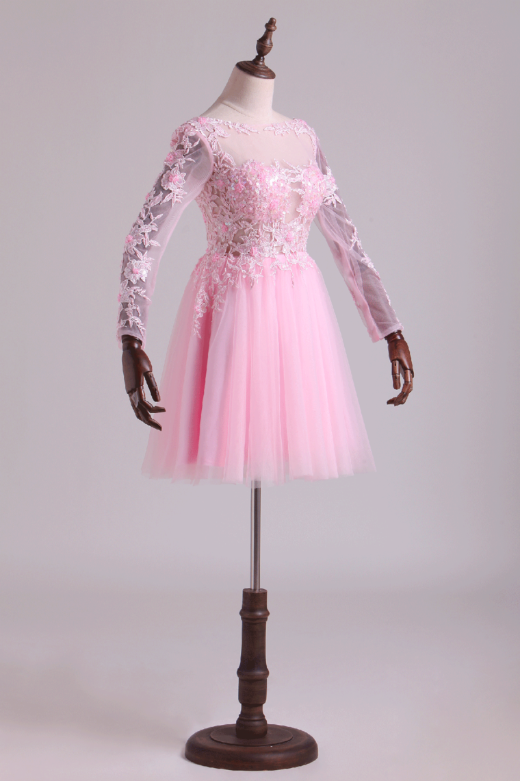 2022 Bateau Homecoming Dresses A Line With Embroidery & Beads Tulle Mini