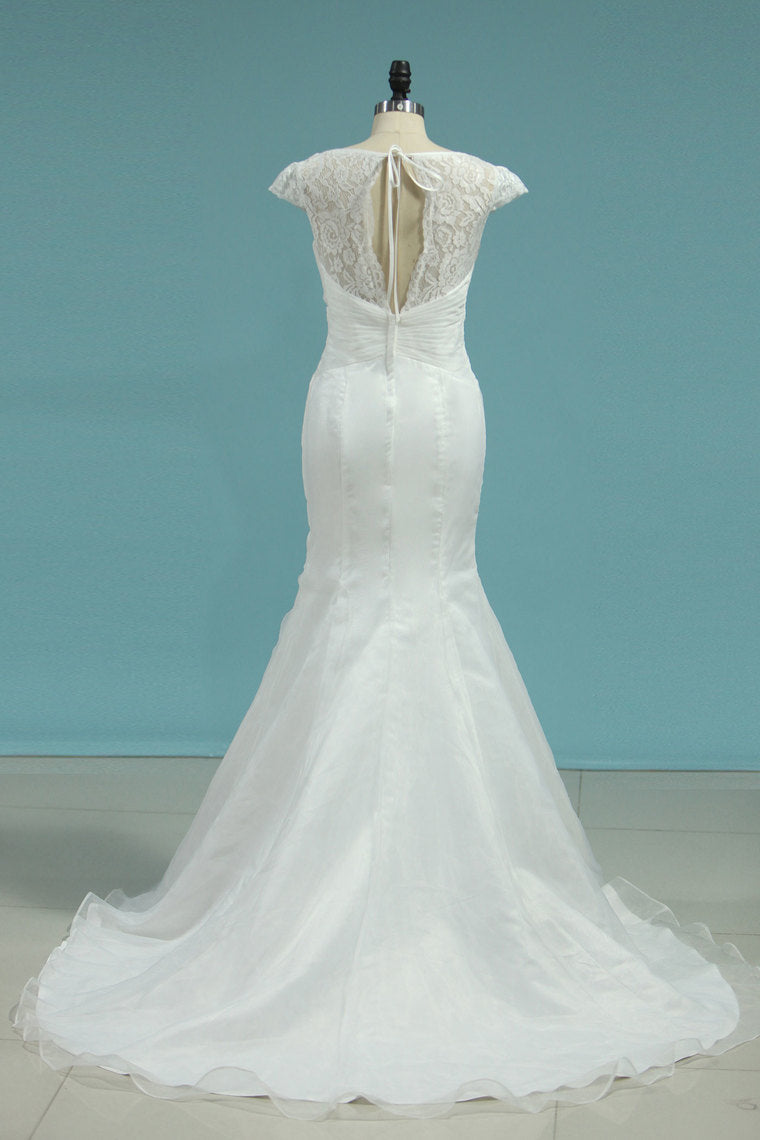 2024 Mermaid Wedding Dresses V-Neck Organza With Lace