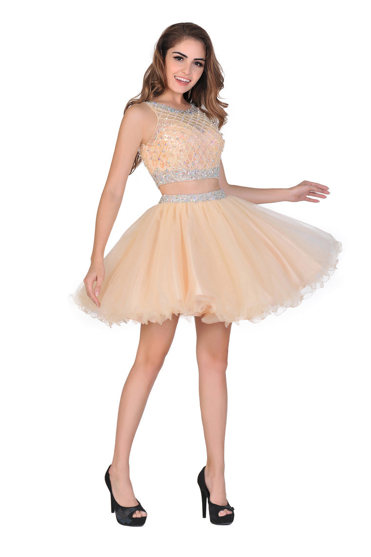 2024  A-Line Homecoming Dresses Short/Mini Scoop Beaded Bodice Tulle