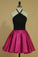 2022 Homecoming Dresses Halter A Line Satin With Applique Two Pieces