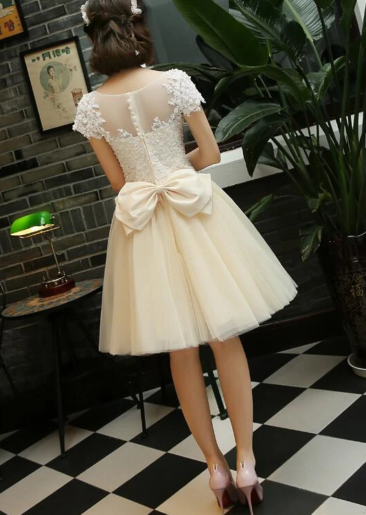 Leyla Homecoming Dresses Lace Light Champagne Tulle Short Party Dress Applique With Beadings DZ13078