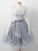 Long Sleeves Grey Short Lace Alani Homecoming Dresses Cheap DZ20224
