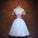 CUTE TULLE APPLIQUE SHORT DRESS Homecoming Dresses Amelia DZ3010