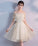 Homecoming Dresses Janey Champagne Tulle Short Dress Champagne DZ3036