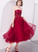Cute Tulle Short Lace Homecoming Dresses Sally Dress DZ3515