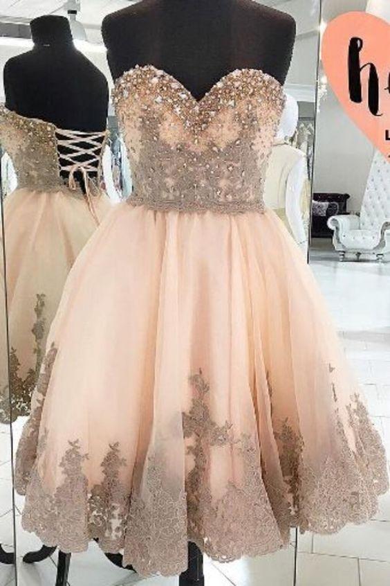 2024 Hot Selling Tulle Sweetheart With Appliques A Line Dayami Lace Homecoming Dresses DZ8345