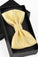 Fashion Polyester Bow Tie Daffodil