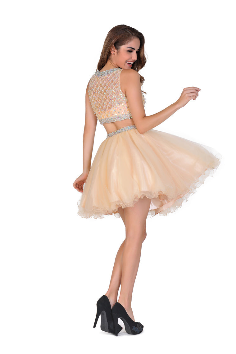 2024  A-Line Homecoming Dresses Short/Mini Scoop Beaded Bodice Tulle